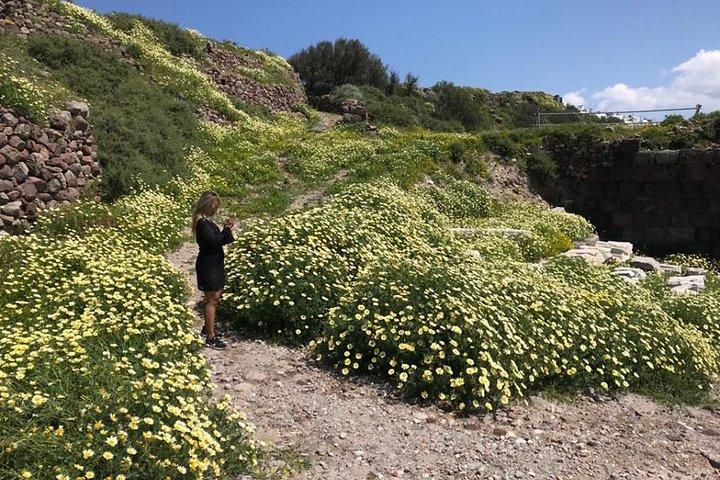 Milos Experiência Arqueológica e Cultural