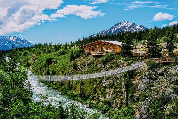 Excursion en bord de mer à Skagway : Excursion d'une demi-journée à la frontière du Yukon et au pont suspendu