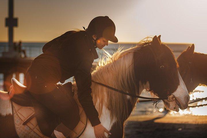 Roma: Paseos a caballo por la playa con aperitivo