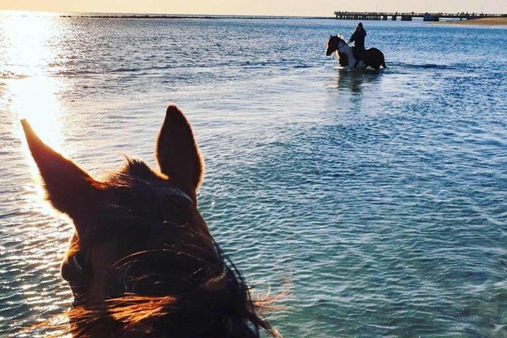 Roma: Paseos a caballo por la playa con aperitivo