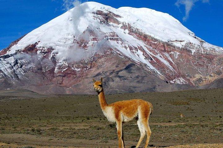 Aventura en Chimborazo: Senderismo y Ascenso desde Quito