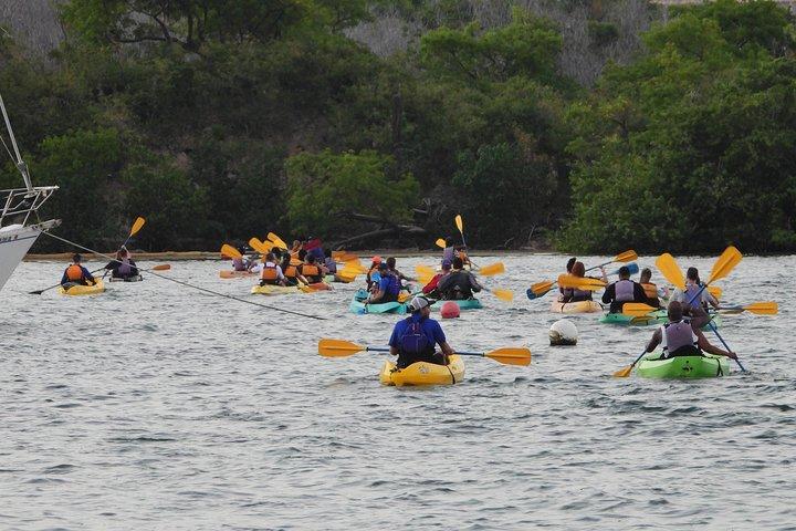 Bioluminescent Bay Night Kayaking, Fajardo 07:30