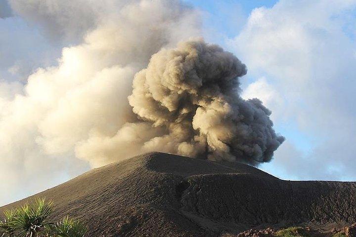 Tanna Island: Heldagstur inklusive Mt Yasur-vulkanen og den varme kilde