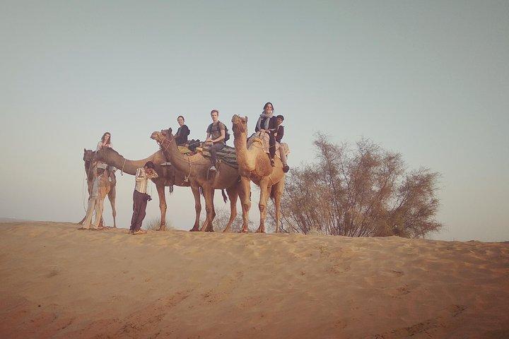 Desert Jeep Safari