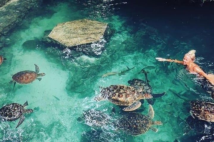 Zanzibar Adventures