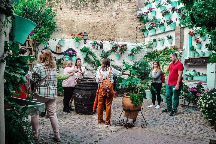 Patios Tour in Cordoba