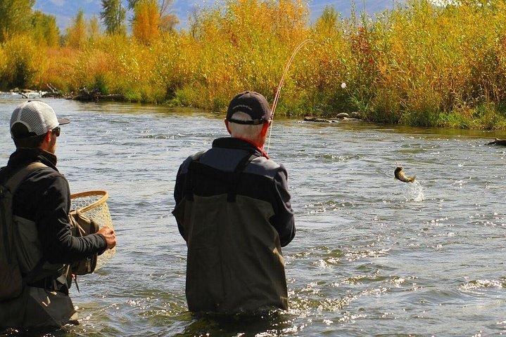 Experiencia guiada de pesca con mosca en Park City