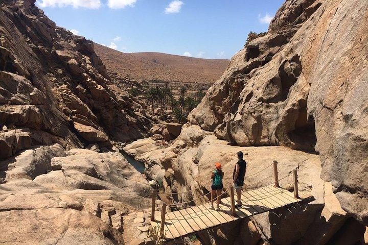 Fuerteventura South eksklusiv tur
