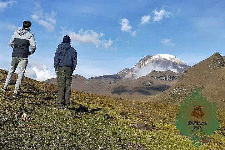 Entdecken Sie Frailejones im Nationalpark Los Nevados (2 Tage)