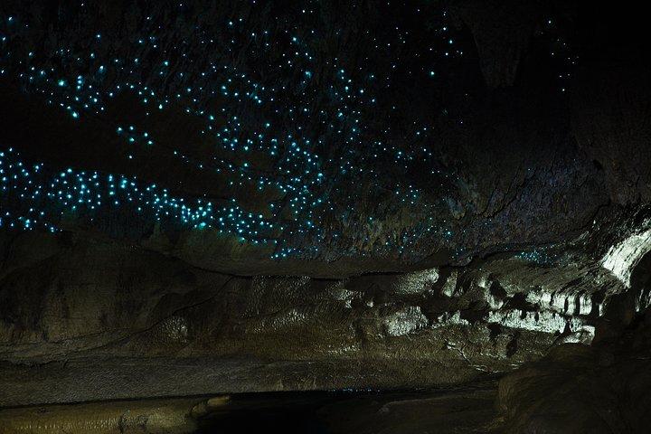 Visite privée des grottes de Waitomo - Auckland Tour House