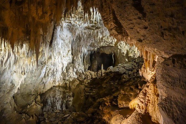 Visite privée des grottes de Waitomo - Auckland Tour House