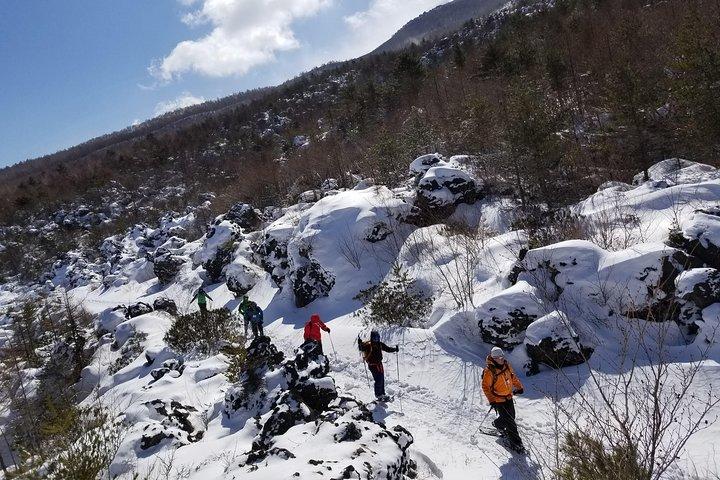 -Næv bjergvandring ved foden af Asama- Karuizawa Snowshoe Tour