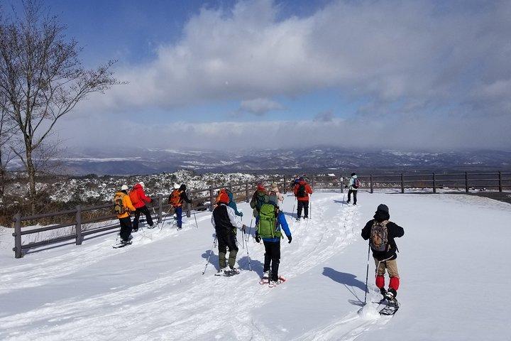 -Næv bjergvandring ved foden af Asama- Karuizawa Snowshoe Tour