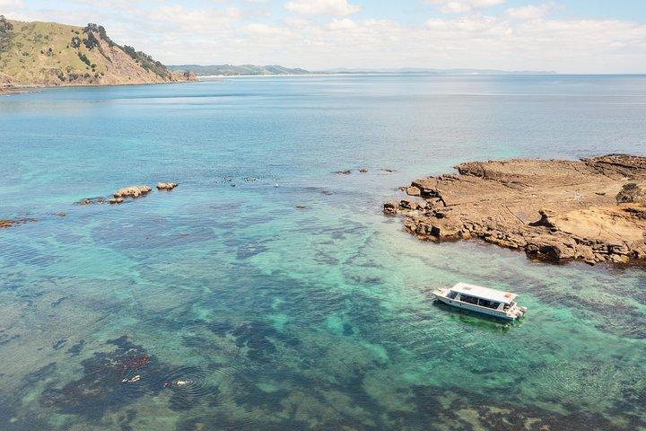 Tour en bateau à fond de verre