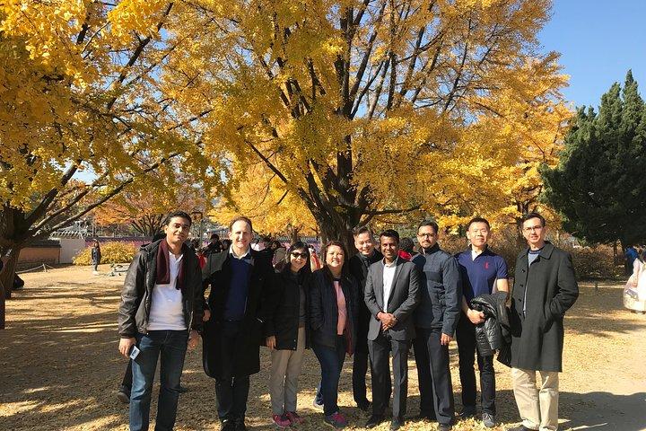 [ Journée complète ] Nami Island & Petit France De Séoul