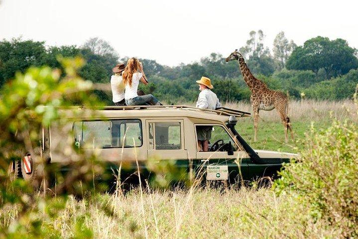 9 Tage Kenia Classic Lodge Safari