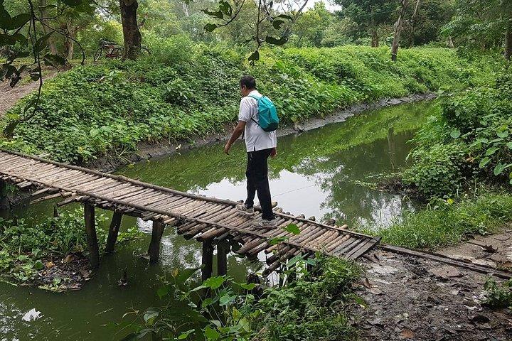 Promenez-vous dans les zones humides de Kolkata: Green Eye Candy