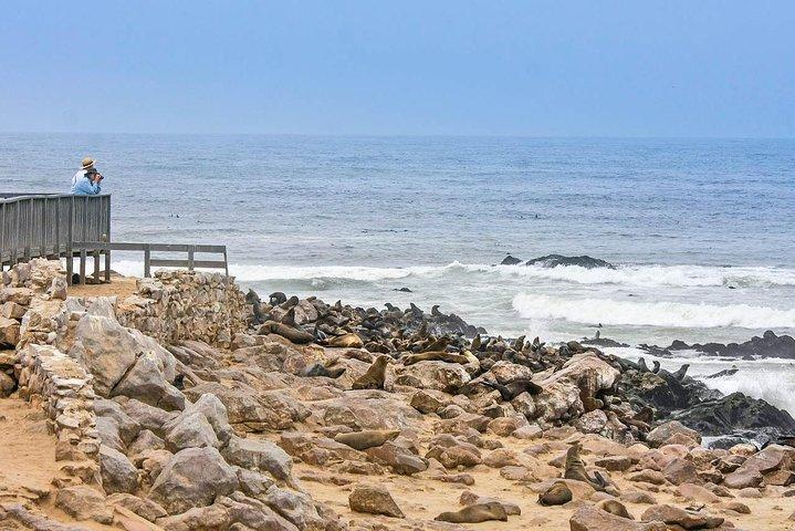 Full Day Drive a Cape Cross