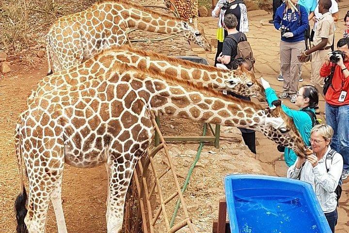 ナイロビのハイライト：カレン ブリクセン、ビーズ ファクトリー、キリン センターの日帰りツアー