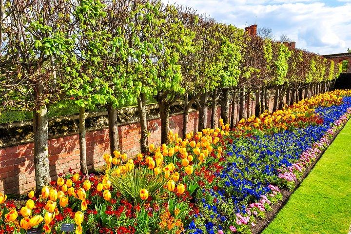 Tour per bambini a Hampton Court Palace a Londra con la guida Blue Badge