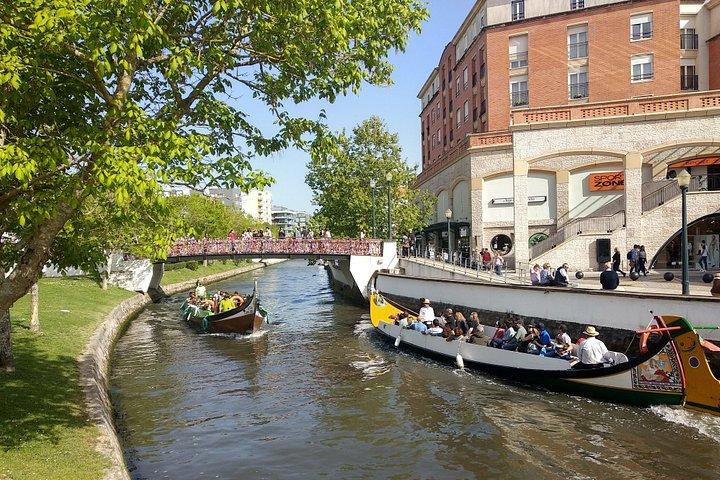 ポルト発：アヴェイロ、パイヴァの遊歩道、吊り橋、ランチ