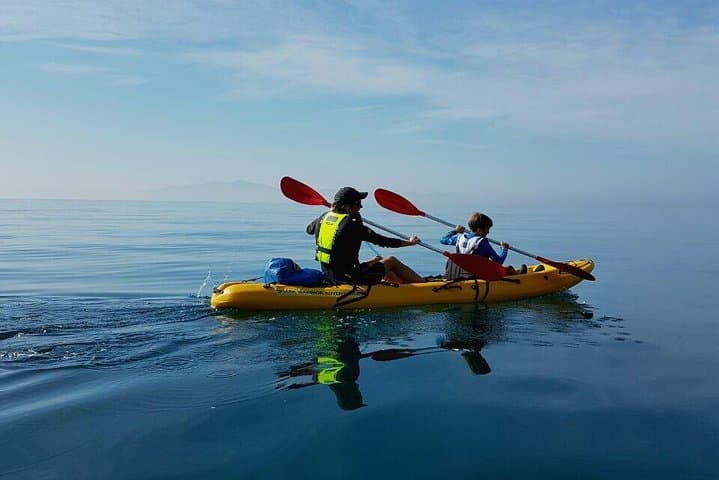 Paddle with the Penguins