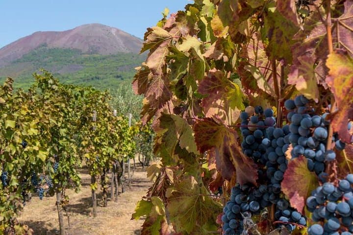 Private Mt Vesuvius and Pompeii with Lunch and Wine Farm Experience