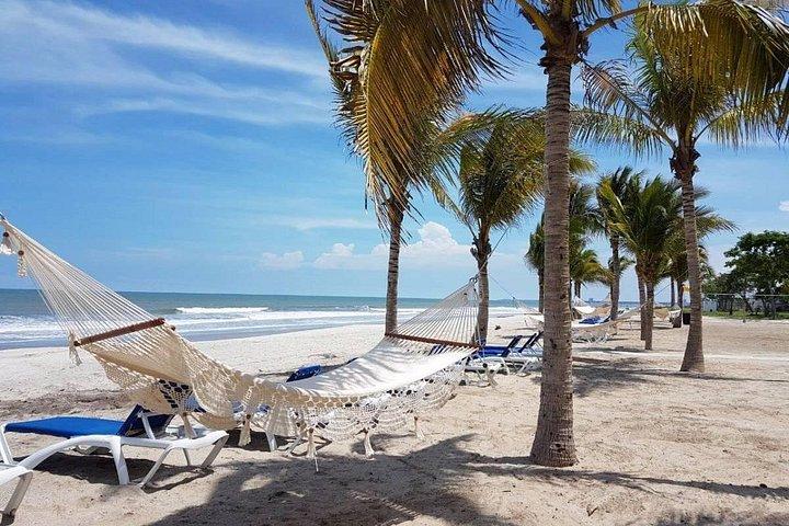 Surf lesson & Beach day in Playa Caracol