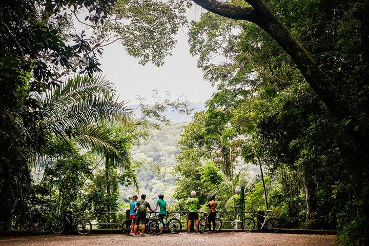 マウンテンバイクTijuca Rain Forest Full