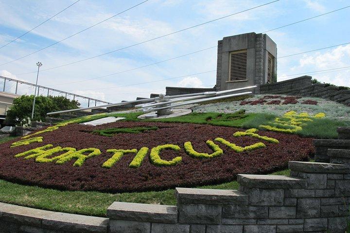 Queda para a excursão de Niagara