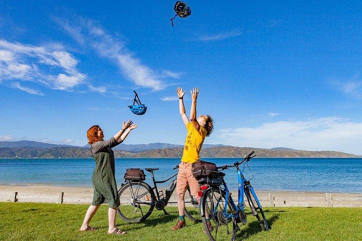Visite autoguidée en vélo électrique de Wellington