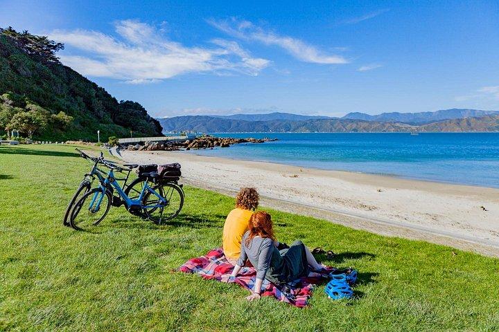Visite autoguidée en vélo électrique de Wellington