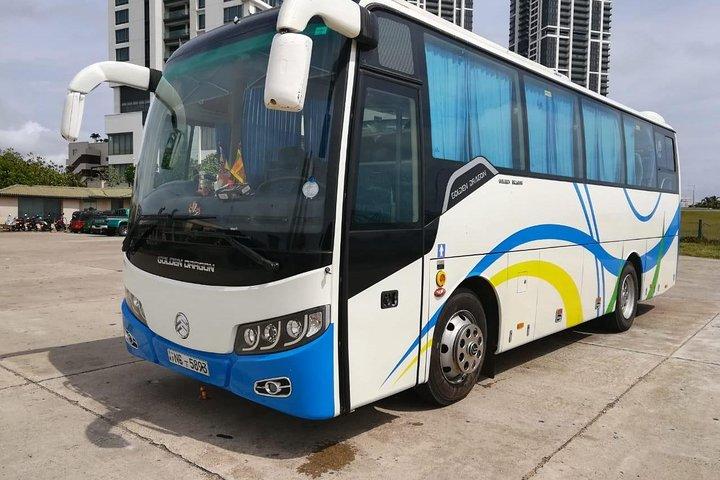 クルーズ船ショアエクスカーション-コロンボ港-コロンボ仏教伝説ツアー