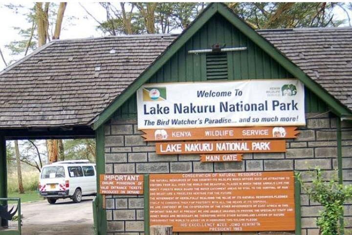 ナクル湖公園での終日ツアーとオプションでナイバシャ湖でのボートツアー