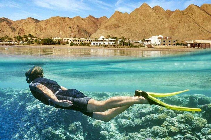 Paradise Island: heldags snorkling og ø-tur