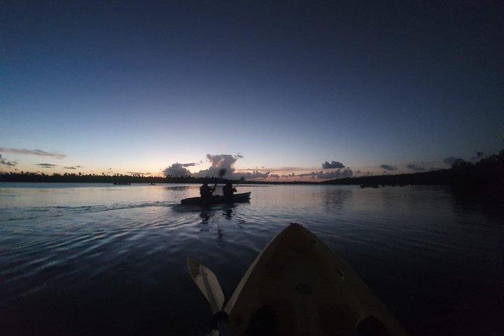 Bioluminescent Bay Night Kayaking, Fajardo 07:30