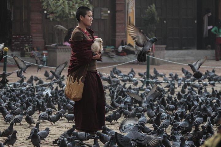 Tour de Templos e Stupas no Vale de Kathmandu