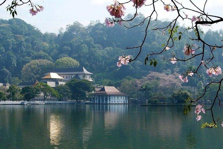 Kandy City Tour-ervaring vanuit Kandy