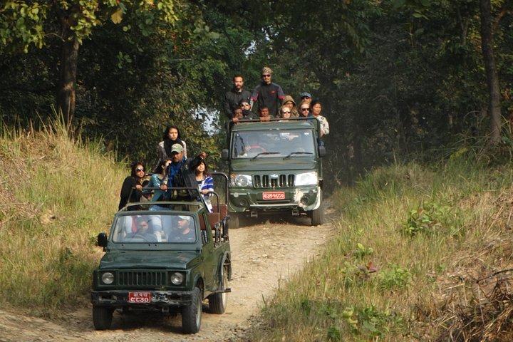 ジャングルタワーナイトチトワン国立公園での滞在、ネパール2泊3日パッケージ