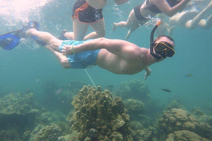 From Khao Lak : Full-Day Private Phi Phi Islands Speedboat Charter