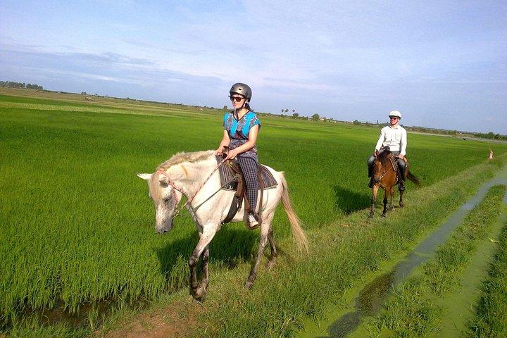 シェムリアップハッピー乗馬無料送迎