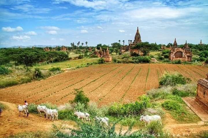Privat overførsel af Mandalay til Bagan