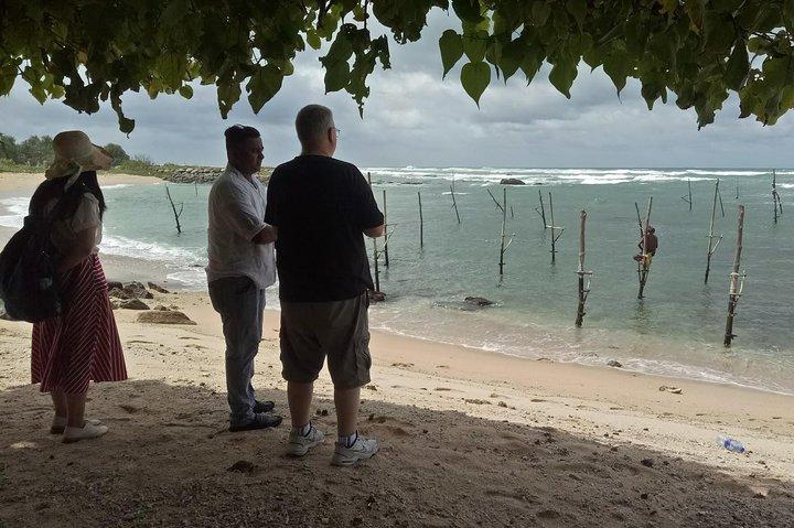 Whale Watching Mirissa Day Tour