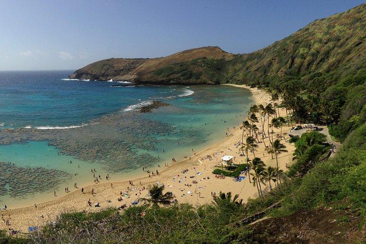 オアフ島の火山とビーチ-スペイン語ツアー