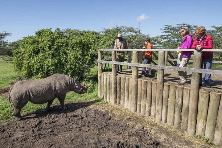 Ol Pejeta Conservancy Day Tour vanuit Nairobi