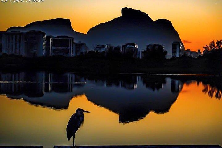 Nuevo! Paseo en barco por la Venecia Carioca a la Isla Gigóia con visita a los Caimanes y hasta la Playa
