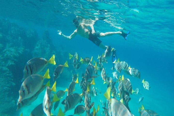 Land's End und Schnorcheltour im Glasbodenboot