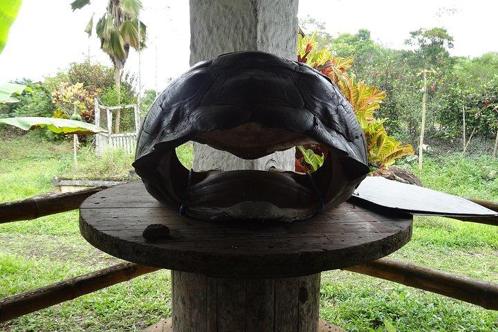 Transfer in + Besuch im Naturschutzgebiet der Riesenschildkröten