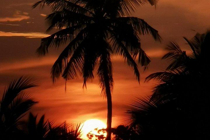Around Sri Lanka Tours