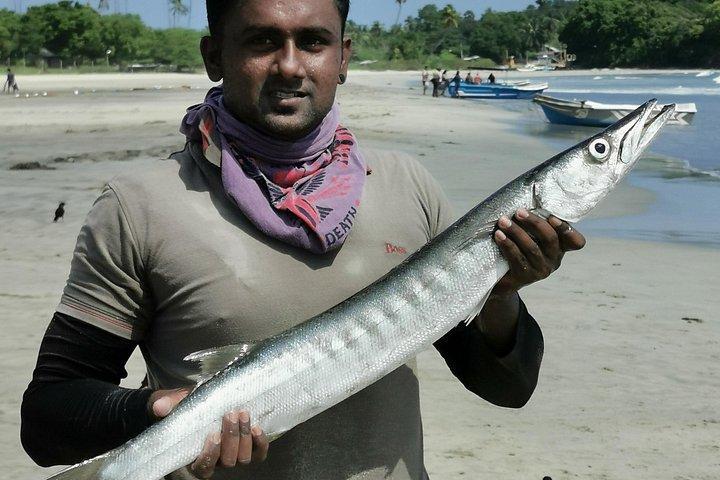 Around Sri Lanka Tours